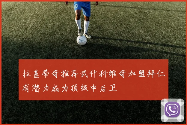 拉基蒂奇推荐武什科维奇加盟拜仁有潜力成为顶级中后卫